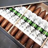 Viaje Viaje Zombie Alternative Artwork 2026 Green Figurado- 6 x 56- Box of 25