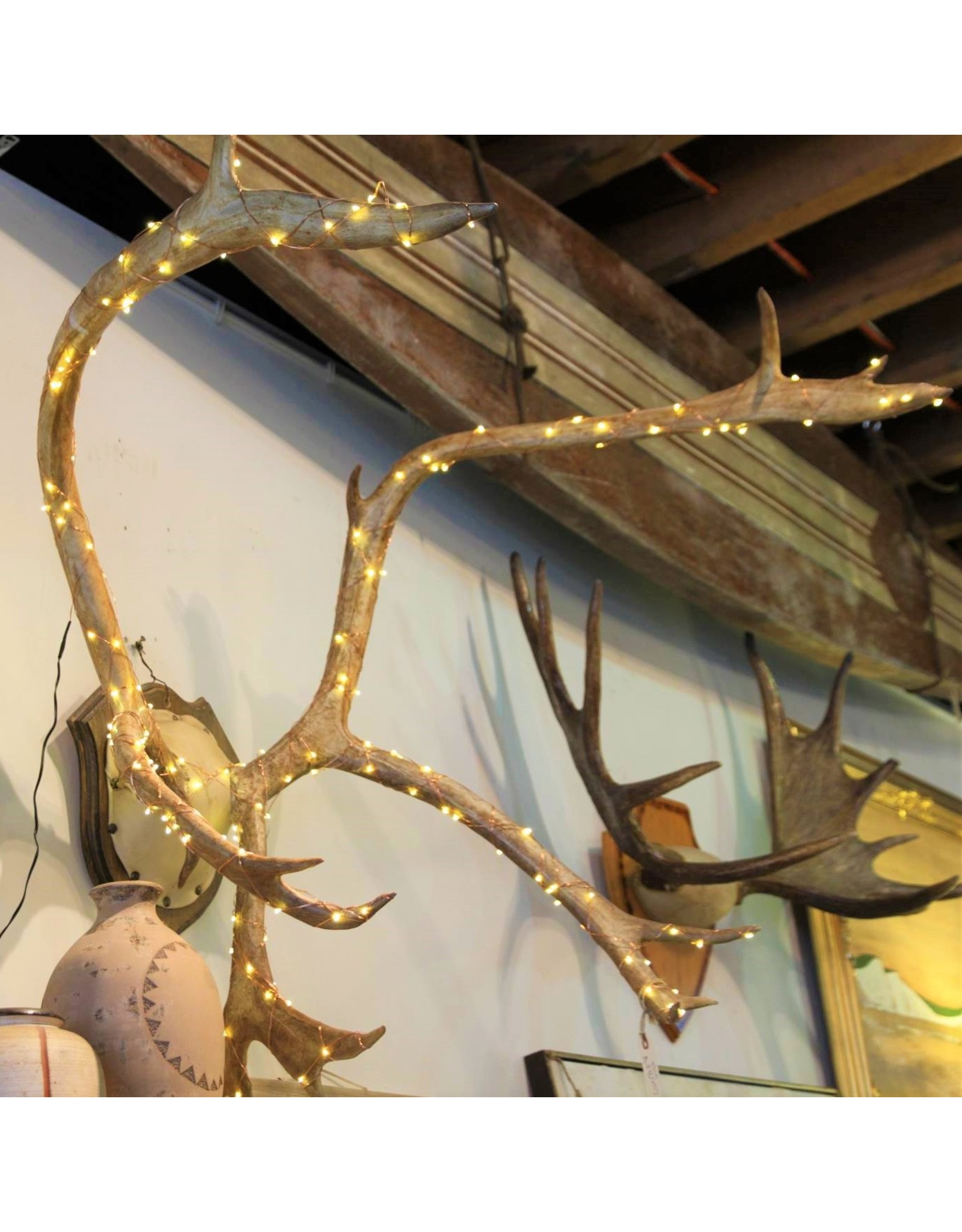 Caribou Antlers