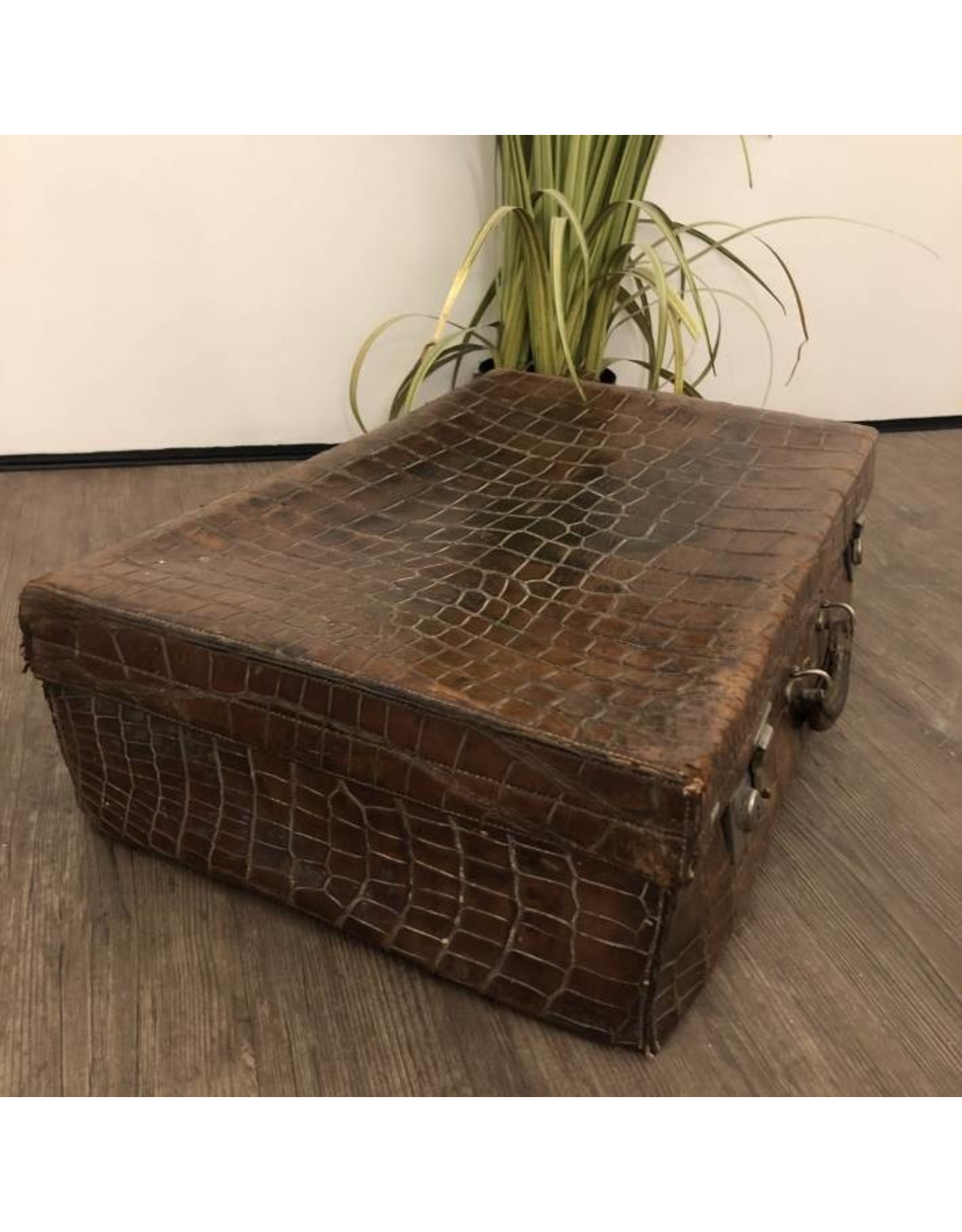 Suitcase - vintage alligator