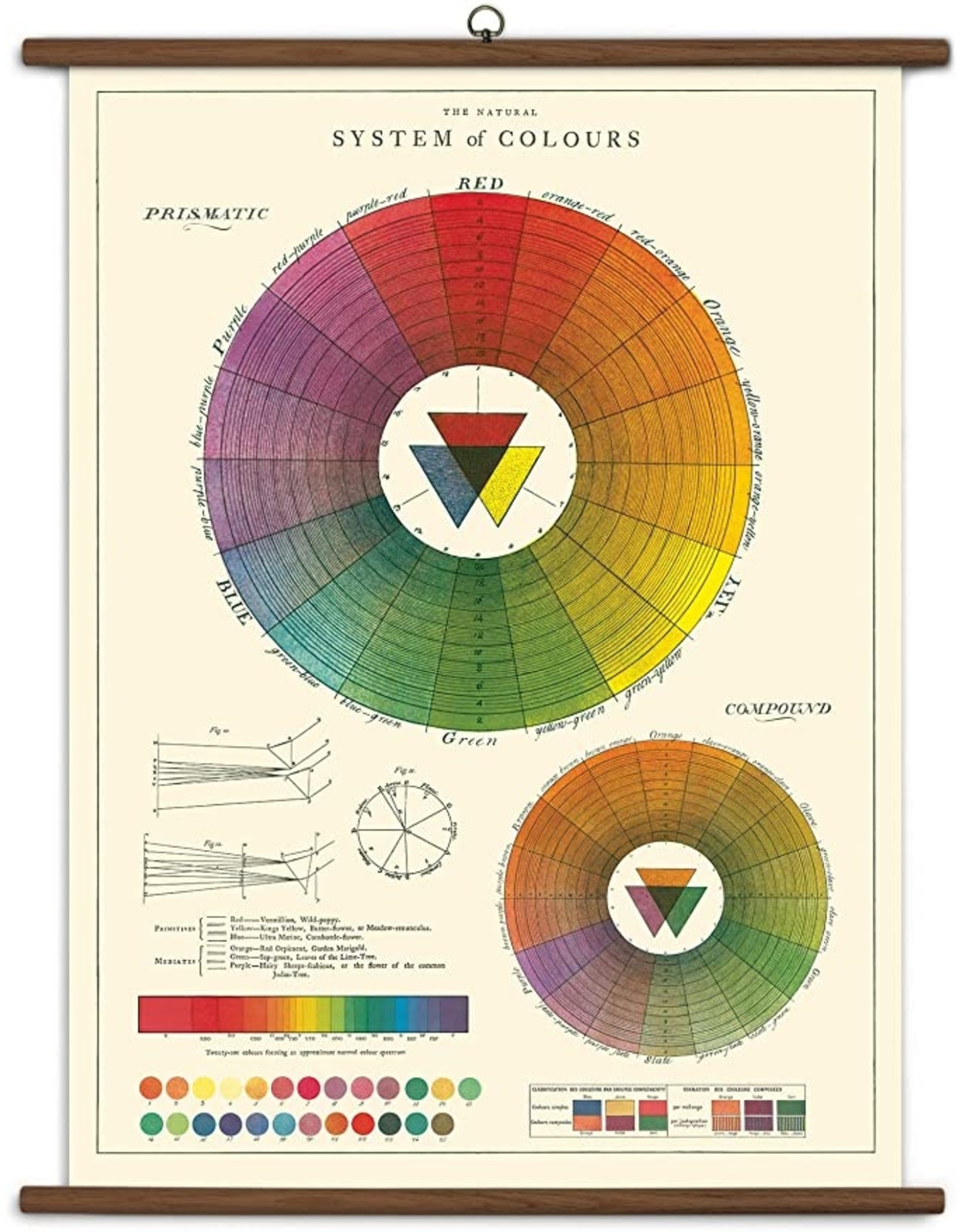School Chart - Colour Wheel