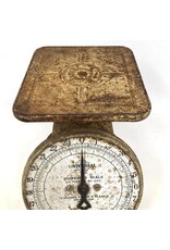 Kitchen scale - Vintage Universal household scale