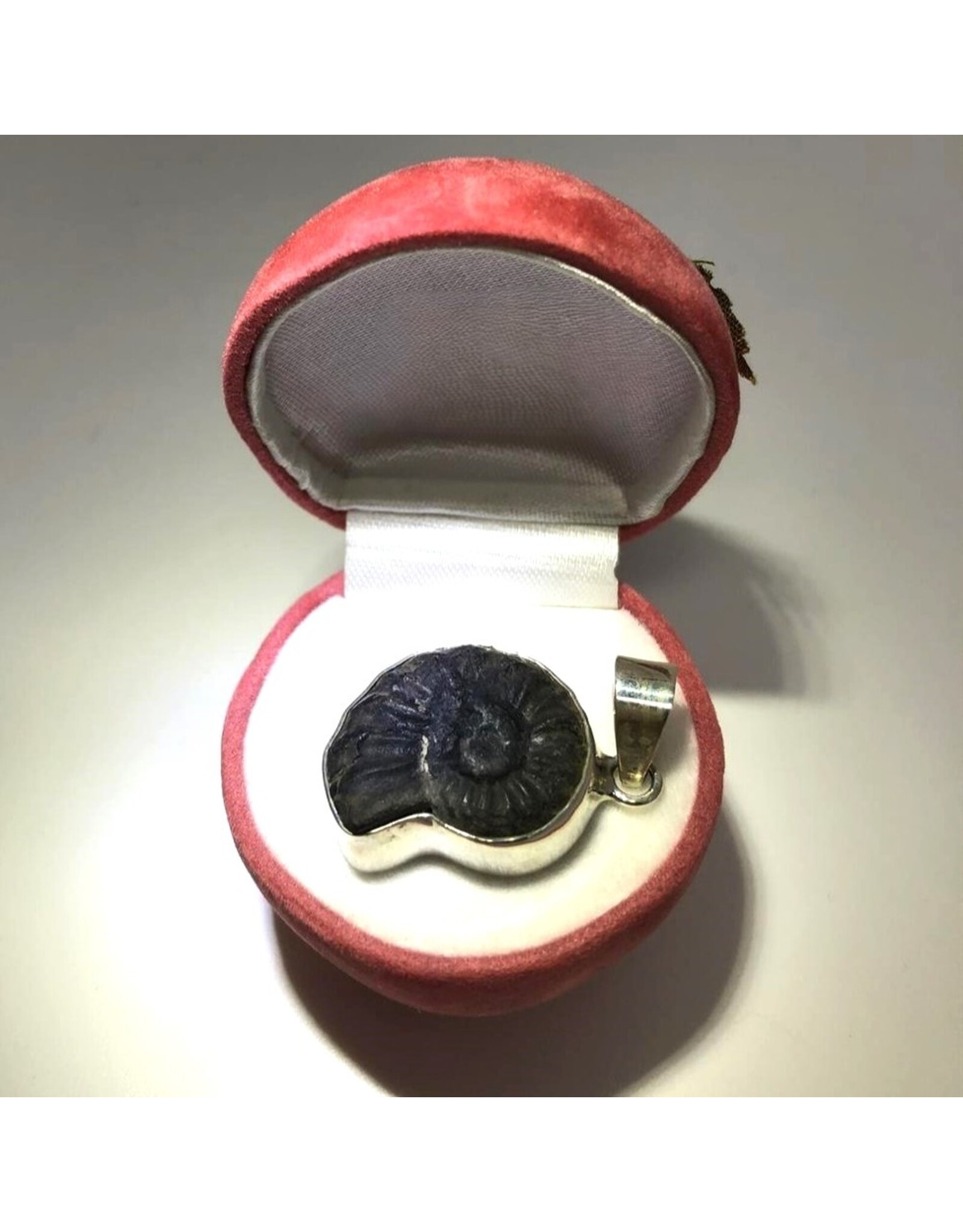 Fossil pendant