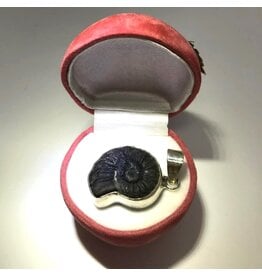 Fossil pendant