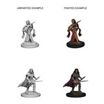 Wiz Kids Unpainted Miniatures: Human Bard Female - PF - W04