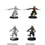 Wiz Kids Unpainted Miniatures: Tabaxi Rogue Female - D&D - W09