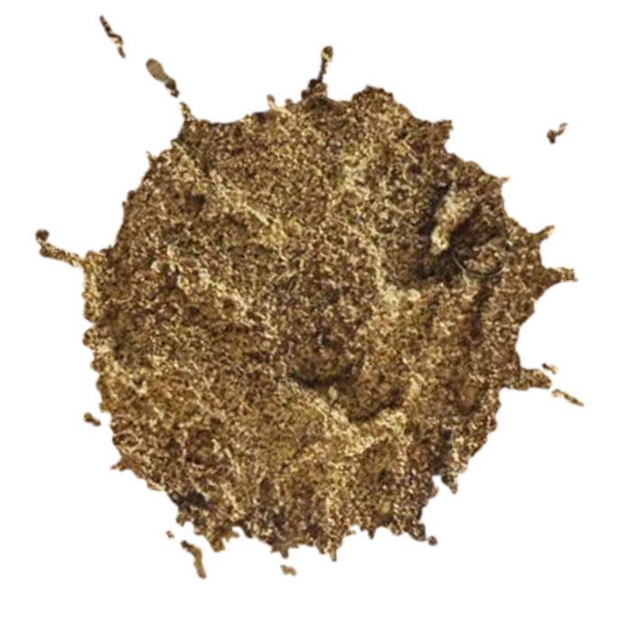 Games Citadel Technical Armageddon Dunes Phoenix Fire Games