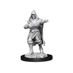 Wiz Kids Unpainted Miniatures: Human Rogue Male - PF - W13