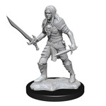 Wiz Kids Unpainted Miniatures: Elf Fighter Male - PF - W13