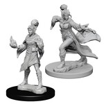 Wiz Kids Unpainted Miniatures: Elf Sorcerer Female - PF - W01