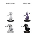Wiz Kids Unpainted Miniatures: Wraith & Specter - D&D - W03