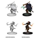 Wiz Kids Unpainted Miniatures: Tiefling Warlock Female - D&D - W06