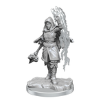 Wiz Kids Unpainted Miniatures: Half-Elf Warlock - D&D - W20