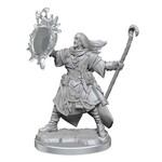 Wiz Kids Pathfinder Legendary Cuts Unpainted Miniatures: Male Human Wizard