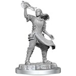 Wiz Kids Unpainted Miniatures: Aasimar Cleric Female - D&D - W20