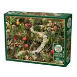 Cobble Hill Cobble Hill: Succulent Garden Puzzle (1000ct)