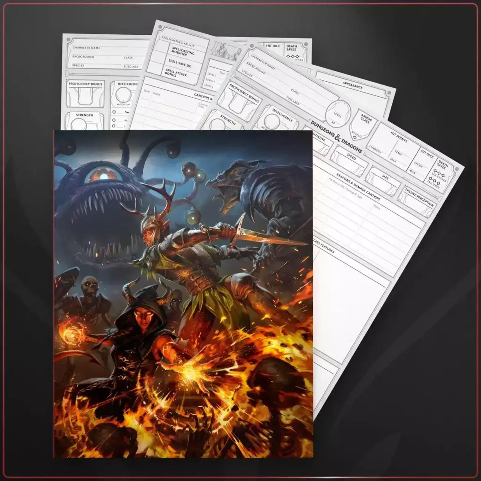 Wizards of the Coast D&D: Character Sheets (2024)