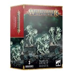 Games Workshop Age of Sigmar: Nighthaunt - Spirit Hosts