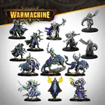 Steamforged Games Warmachine: Dusk - House Kallyss Auxiliary Expansion