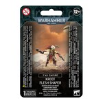 Games Workshop Warhammer 40K: Tau Empire - Kroot Flesh Shaper