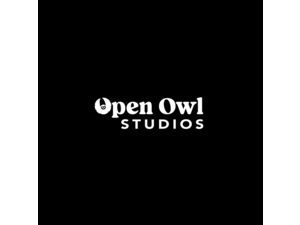 Open Owl Studios