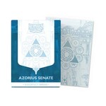 Dragon Shield Dragon Shield: Dual Matte Art (100) - MTG: Guildpact Series - Azorius Senate