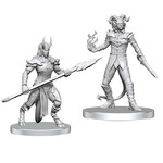 Wiz Kids Unpainted Miniatures: Vordine & Pitborn Rogue - PF - W27