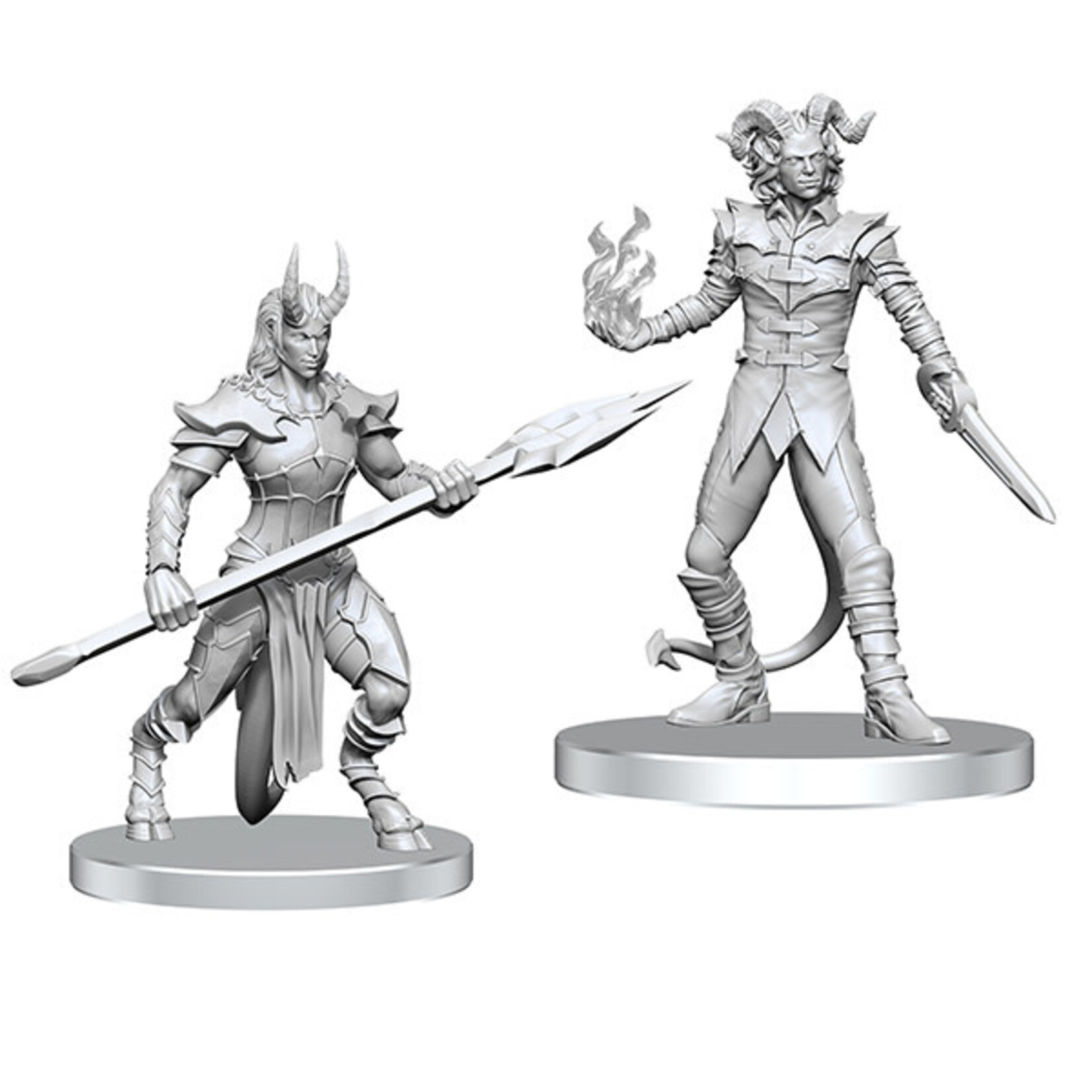 Wiz Kids Unpainted Miniatures: Vordine & Pitborn Rogue - PF - W27 (Order for new space)