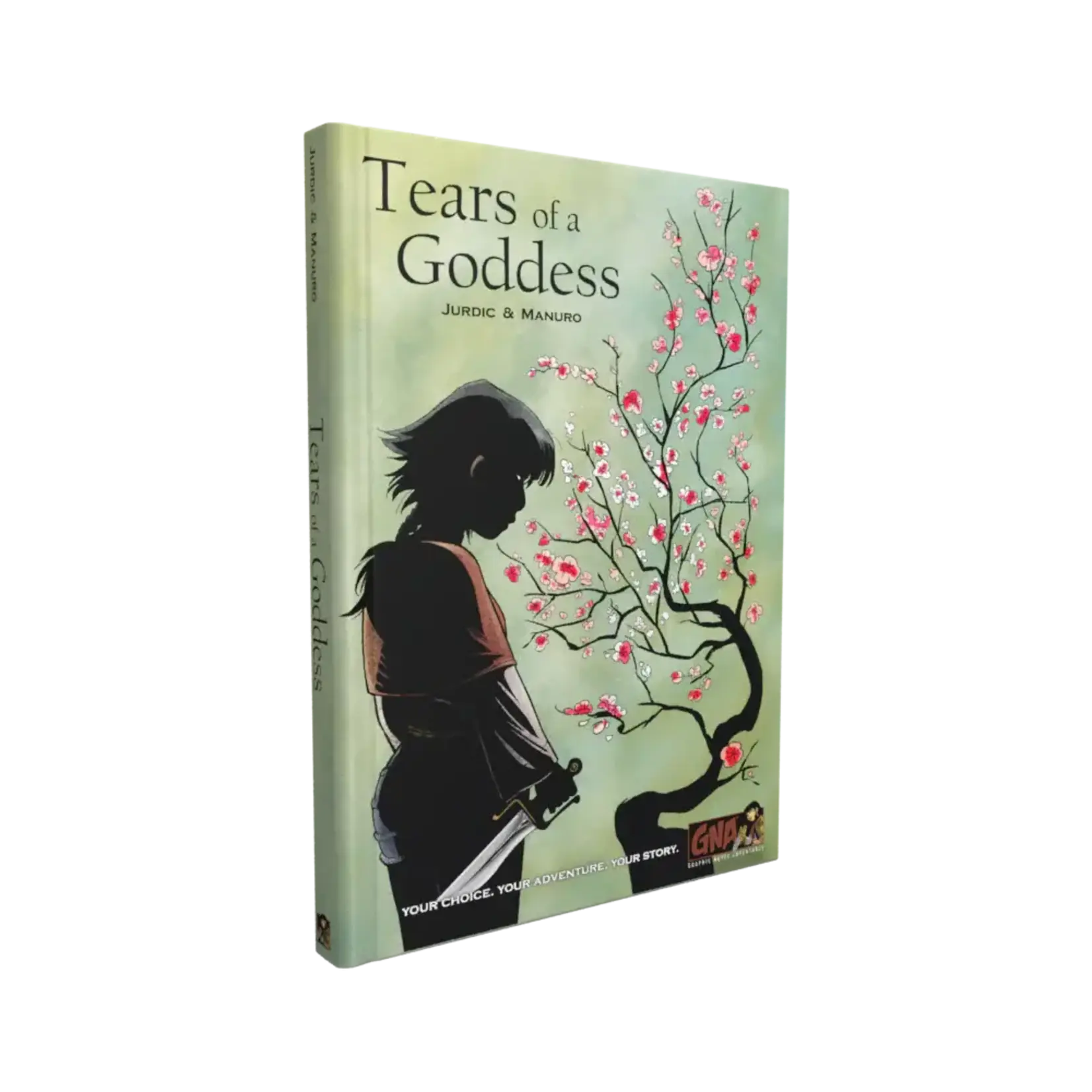 Van Ryder Games Tears of a Goddess