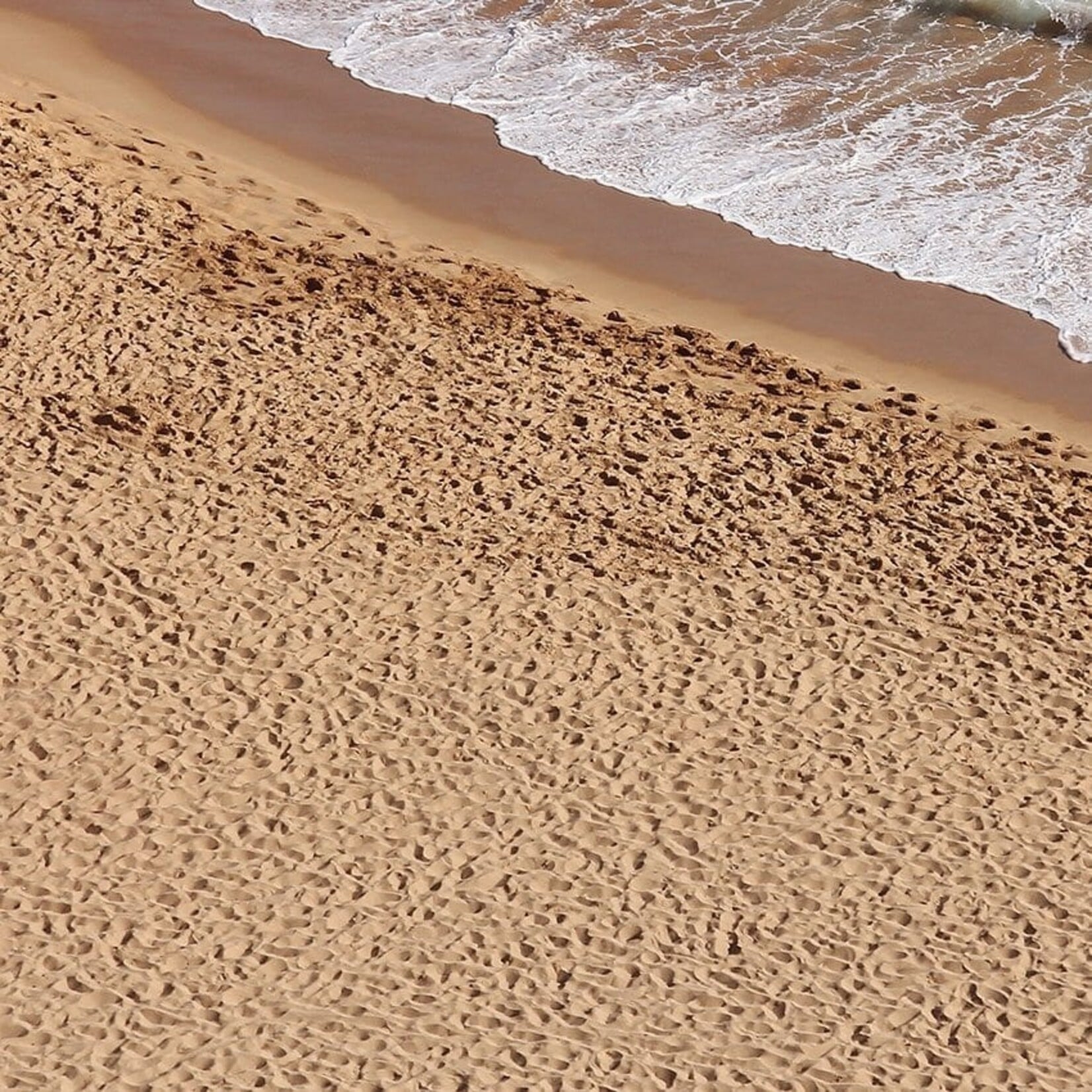 AK Interactive AK Interactive: Acrylic - Beach Sand Terrain 250ml
