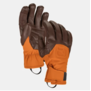 Ortovox Alpine Pro Glove