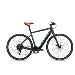 Momentum Voya E+3