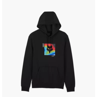 Fox Scans Hoodie