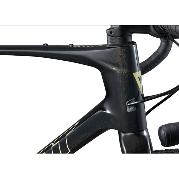 Giant 2024 Giant Revolt Advanced 2