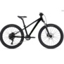 Giant STP 24 FS Black