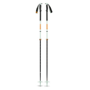 Black Diamond Traverse Pro Pole