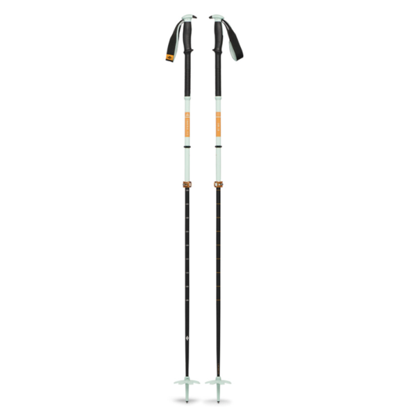 Black Diamond Black Diamond Traverse Pro Pole