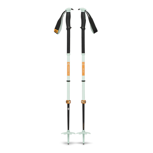 Black Diamond Black Diamond Traverse Pro Pole