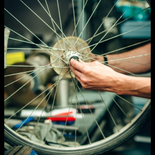 Bike and Ski Service