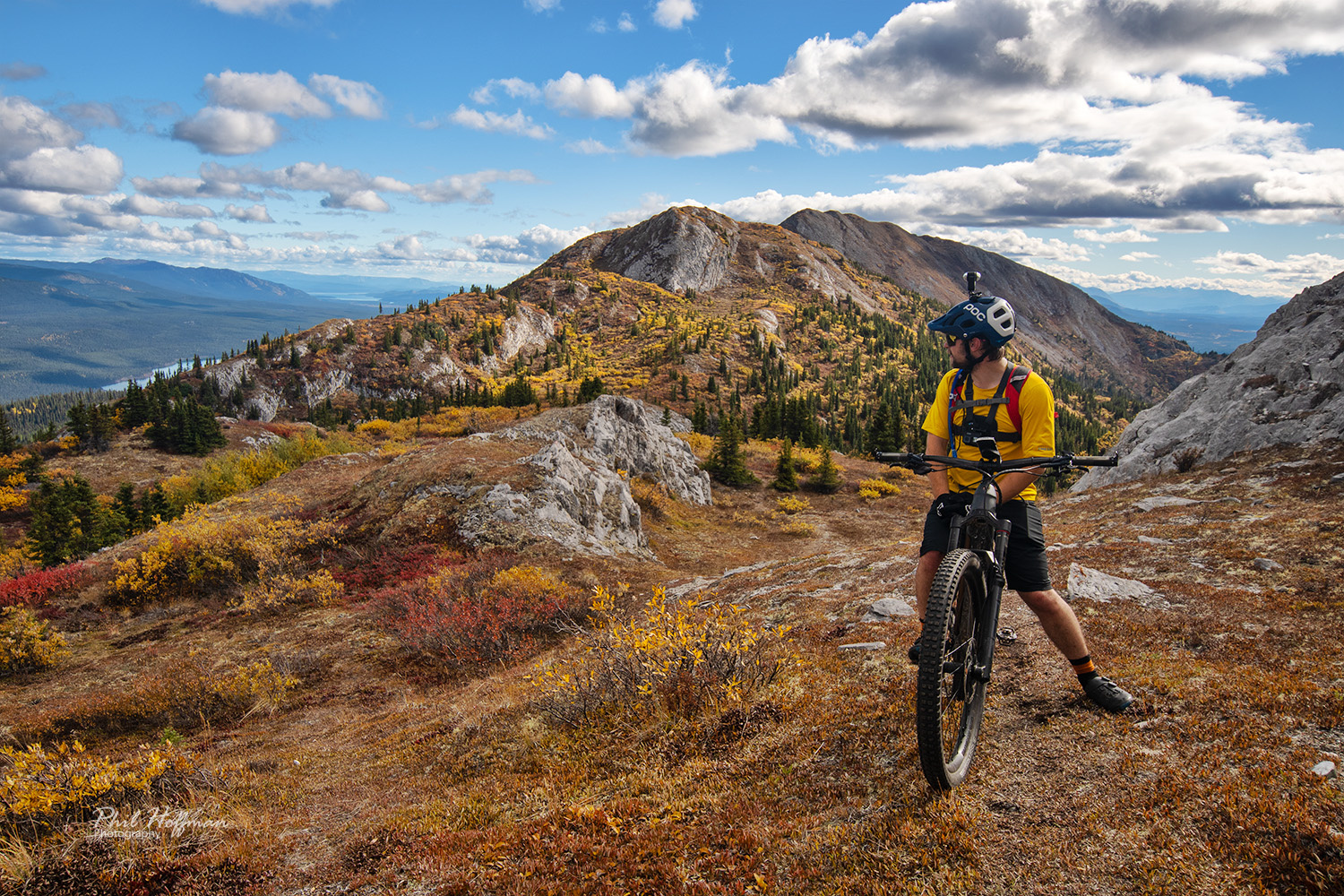 Grey Mountain Whitehorse Yukon Mountain Biking