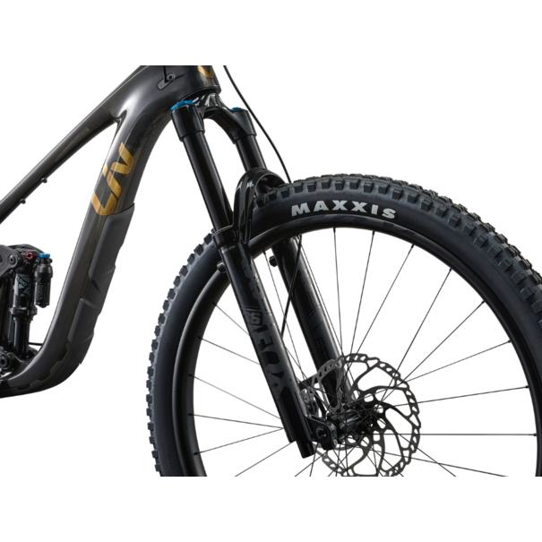 Liv 2025 Liv Intrigue X Advanced 1