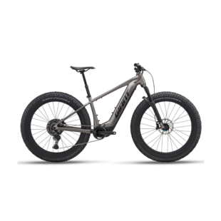 Bikes Icycle Sports