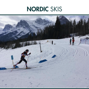 Skis