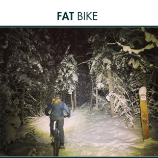 Fat Bike