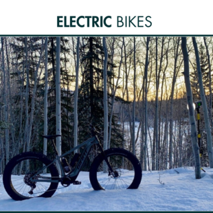 Electric Bikes