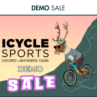 DEMO SALE