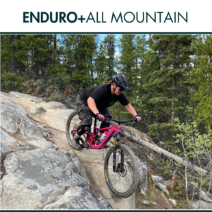 Enduro/ All Mountain