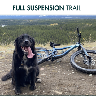 Trail
