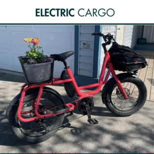 Cargo