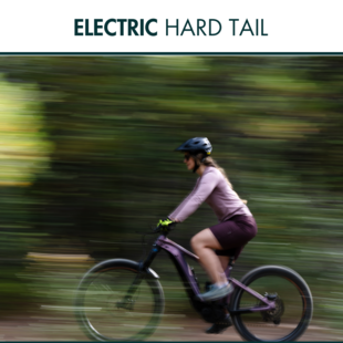 Hard Tail E-Mountain Bike