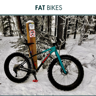 Fat Bikes
